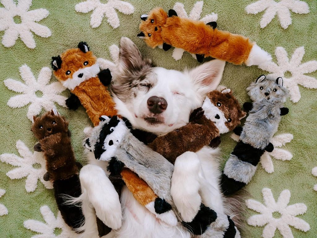 No Stuffing Dog Toy Pack to Keep Them Busy, for Small and Medium Dogs, Squeaky Pet Toys, Unstuffed Chew Toys, Soft Plush Variety Pack, Fox, Raccoon, and Squirrel - 11"